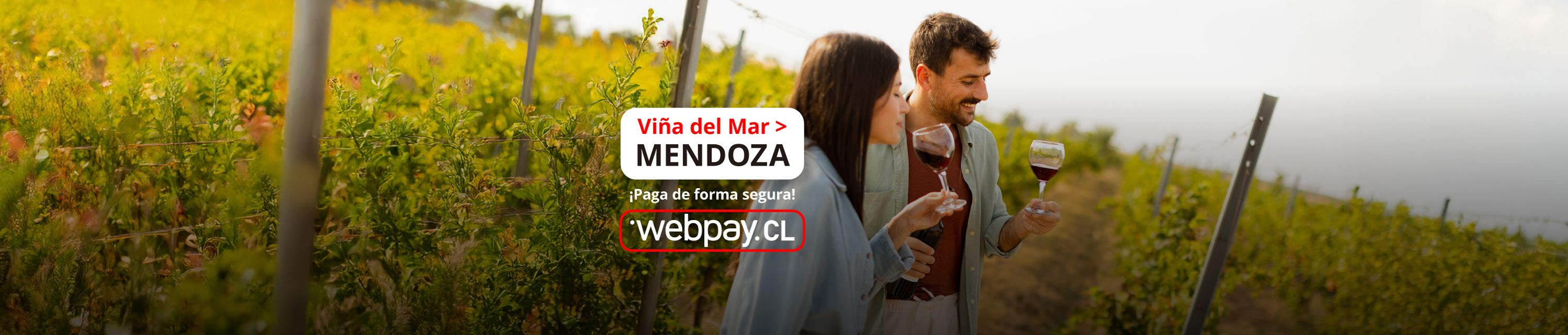 Viña del Mar Mendoza