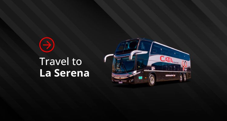 To Viña del Mar banner